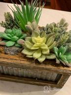 img 1 attached to 14 Pcs Artificial Succulents Plants Unpotted Green Hops String Of Pearls Echeveria Air Plant Picks Bulk For Garden Arrangement Centerpiece Indoor Outdoor Home Decor review by Charles Alfian