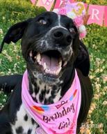 img 1 attached to Make Your Dog'S Birthday Special With GAGILAND Birthday Party Set - Dog Bandana, Hat, Banner & More In Pink With Balloon! review by Tyler Vaughn