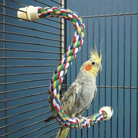 img 3 attached to JW Pet Comfy Perch for Birds - Flexible Multi-color Rope, 28 Inches Long