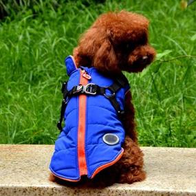 img 2 attached to 🐶 Norbi Small Dog Vest Harness Puppy Winter Warm Jacket 2-in-1 Outfit Coat for Cold Weather