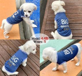 img 2 attached to 🐶 Pet Clothes: 2-Pack Brothers Printed Vest T-Shirt for Dogs - Breathable and Stylish Puppy Clothing for Small, Medium, Large Dogs - Black+Gray, Medium Size