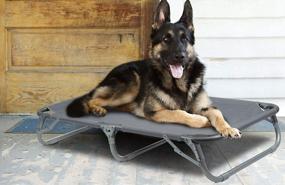 img 1 attached to Foldable Elevated Pet Cot With Steel Frame - Durable And Lightweight Portable Bed For Dogs And Cats To Play, Rest, And Relax Anywhere