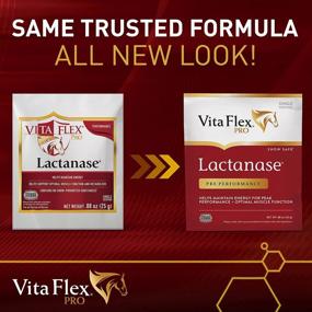 img 3 attached to Vita Flex Lactanase Performance Supplement Packets For Horses - 12 Count, Supports Healthy Muscle Function