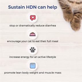 img 2 attached to EMERAID Sustain HDN: Premium Non-GMO, Human-Grade Nutrition for Cats