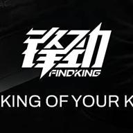 findking logo