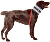 the bitenot collar: providing comfortable 🐶 and safe solutions for pet wound recovery logo