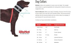 img 1 attached to The BiteNot Collar: Providing Comfortable 🐶 and Safe Solutions for Pet Wound Recovery