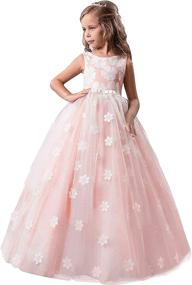 img 3 attached to 👗 Exquisite TTYAOVO Embroidered Wedding Birthday Princess Dresses for Girls - Stunning Clothing Collection