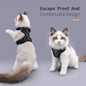 img 3 attached to Walk your Cat Safely with LuxRoom Cat Leash and Harness Set - Adjustable, Breathable and Reflective for Kitten Safety