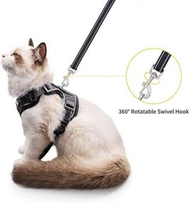 img 2 attached to Walk your Cat Safely with LuxRoom Cat Leash and Harness Set - Adjustable, Breathable and Reflective for Kitten Safety