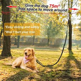 img 2 attached to Outdoor Dog Runner System - 50ft Trolley System Dog Tie Out Cable with 6.5ft Runner Cable for Large Dogs up to 100lbs - Rust Proof Heavy Duty Dog Lead for Yard, Camping, and Outdoor Activities