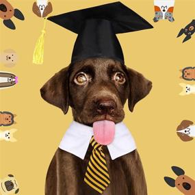 img 3 attached to Pet Graduation Caps & Neck Ties Set - Adjustable Hats & Collars for Dogs and Cats - Photography Props, Grade Outfits - Ideal for Pets Graduation Party Dress Up