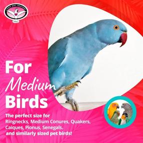 img 2 attached to 🐦 Enhance Bird Enrichment with Super Bird Creations SB740 Mini Foraging Pouch: Medium Size, 8"x8