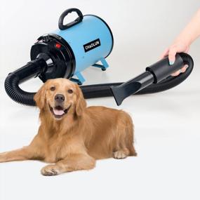 img 2 attached to High Velocity Professional Pet Grooming Dryer With Heater, Stepless Adjustable Speed, 3 Nozzles And Comb - Perfect For Dogs! Blue CHAOLUN Blow Dryer