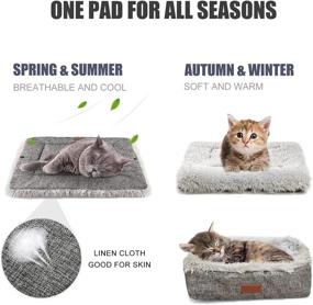 img 1 attached to 😺 HDLKRR Self-Warming Cat and Small Dog Bed: Ultra-Cosy Thermal Mat for Indoor and Outdoor Pets, Calming Crate Cushion Included - 23.6x19.7inch