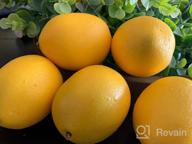 img 1 attached to Artificial Yellow Lemons - 20Pcs Faux Fruit Decorations For Lemon Wreaths, Garlands, Party, Kitchen, And Table Summer/Spring Décor, Fruit Bowls, Vases, And Photography Props review by Chris Horton