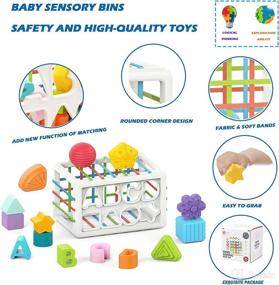 img 1 attached to GGTOYS Colorful Education Montessori Classification