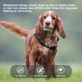 img 2 attached to 🐶 Citronella Bark Collar: Rechargeable, Adjustable Sensitivity, Waterproof Remote Control - Effective Anti-Barking Spray Dog Training Collar for Small, Medium, Large Dogs