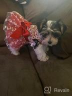 img 1 attached to Small Dog Dress Harness D-Ring Outfit Costume Bow Hair Rope Birthday Gift DT01L review by Rob Bishop