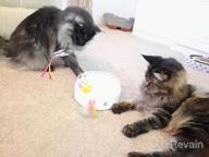 img 1 attached to Potaroma Cat Toys 3-In-1 Smart Interactive Kitten Toy, Fluttering Butterfly, Random Moving Ambush Feather, Catnip Bell Track Balls, Dual Power Supplies, Indoor Exercise Cat Kicker (Bright White) review by Jill Kohlmeyer