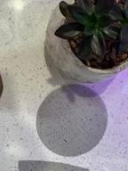 картинка 1 прикреплена к отзыву Prevent Soil Loss With LE TAUCI 100 Pack 2 Inch Flower Pot Hole Mesh Pad - Bonsai Pot Bottom Grid Mat Mesh For Plant Pot Drainage Hole Screens. от Sanny Hoffman