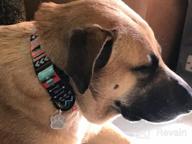 картинка 1 прикреплена к отзыву Tribal-Patterned CollarDirect Martingale Dog Collar: Adjustable And Heavy-Duty Collars For Medium To Large Dogs от Jay Mitchell
