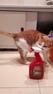 img 1 attached to Nature's Miracle Advanced Cat Stain & Odor Eliminator Spray review by Kio Qerido (James) ᠌