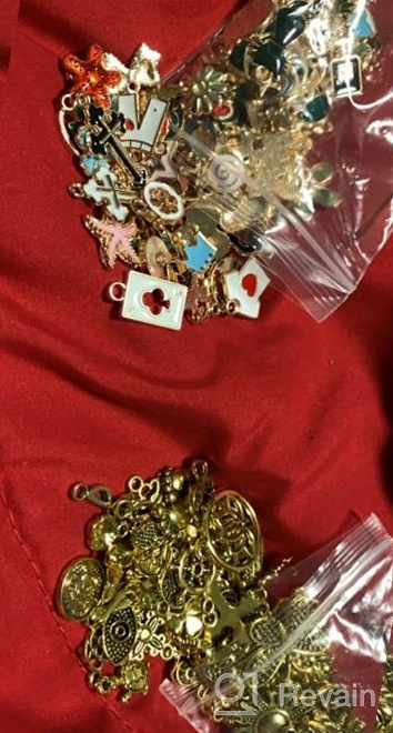 img 1 attached to 💍 220Pcs Assorted Gold Plated Enamel Charms Necklace Bracelet Pendants by SANNIX for Valentine's Day DIY Jewelry Making and Crafting review by Fredo Zhan