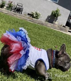 img 6 attached to Petitebella USA Heart Puppy Dog Dress Black Stripes Medium