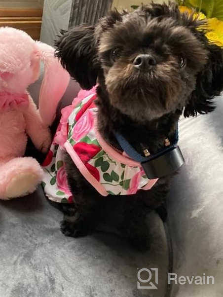 img 1 attached to KYEESE Floral Rose Dog Dresses with Flowers Decoration - Elegant Princess Dress for Small Dogs, Ideal for Spring and Summer - Puppy Apparel and Pet Clothing review by Ryan Dillon
