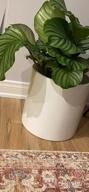 img 1 attached to 🌿 Cultivate Elegance with Our 8 Inch Glazed Ceramic Indoor Planter Pot - Perfect for Succulents, Flowers, or Bonsai review by Steven Harmon