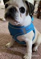 img 1 attached to Breathable Mesh Harness For Small And Medium Dogs With Reflective Soft Padding - Joytale Step-In Harness In 12 Colors (Teal, L) review by John Lewis