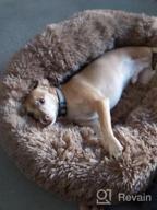 img 1 attached to Donut Dog Bed , Cozy Calming Cat Bed, Dog Bed For Large Dogs And Cats, Anti Anxiety, Comfy, Fluffy, Ultra Soft, Round Pillow (23-Inch, Beige) review by Brian Rogers