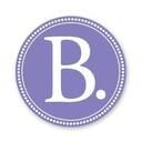 babywise logo