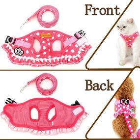 img 3 attached to 🐾 Ranphy Small Dog Harness and Leash Set - Polka Dot Princess Step-in Vest Harness for Puppy, Cat, Yorkie, Chihuahua - No-Pull, Cute Design