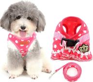 🐾 ranphy small dog harness and leash set - polka dot princess step-in vest harness for puppy, cat, yorkie, chihuahua - no-pull, cute design logo