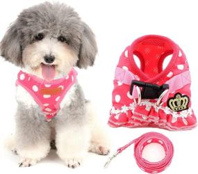 img 4 attached to 🐾 Ranphy Small Dog Harness and Leash Set - Polka Dot Princess Step-in Vest Harness for Puppy, Cat, Yorkie, Chihuahua - No-Pull, Cute Design