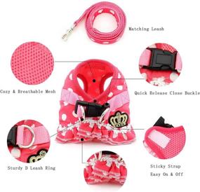 img 2 attached to 🐾 Ranphy Small Dog Harness and Leash Set - Polka Dot Princess Step-in Vest Harness for Puppy, Cat, Yorkie, Chihuahua - No-Pull, Cute Design