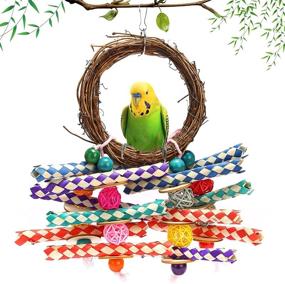 img 4 attached to Non Toxic Lovebirds Parakeets Budgerigars KM122103 Style