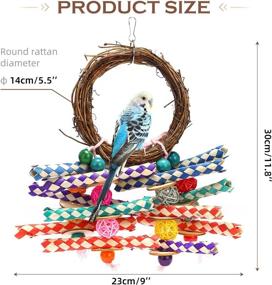 img 3 attached to Non Toxic Lovebirds Parakeets Budgerigars KM122103 Style