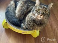 картинка 1 прикреплена к отзыву Reversible Cat Scratcher Cardboard Lounge Bowl Pad - Pawise Kitty Scratching Relaxing Pad от Derrick Duck