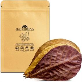 img 4 attached to 🌿 Premium Indian Almond Leaves for Aquarium Decorations - 6-9" Size, 50g Pack (20-25 Leaves) - Catappa Leaves High in Tannin - Enhance Shrimp and Betta Fish Tank Health, Vitality, and Successful Breeding!