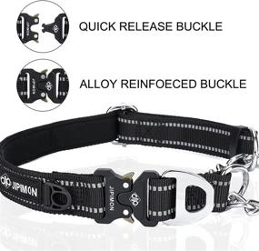 img 1 attached to JIPIMON Martingale Reflective Stainless Adjustable Dogs for Training & Behavior Aids