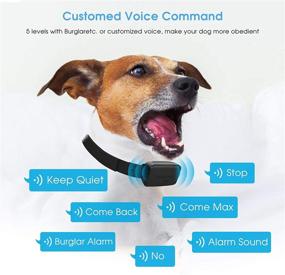 img 1 attached to Smart Progressive Barking Control Collar | Dr.Trainer B1/B1Pro with Smartphone & Watch APP | No Shock Anti Barking Collar for Small Medium Large Dogs | Includes Barking Report