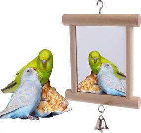 img 3 attached to 🐦 WoYous Birdcage Mirror: Double-Sided Swing with Chew Toys and Colorful Ball - Ideal for Little Macaws, Lovebirds, Cockatoos, Parakeets, Finches & Cockatiels