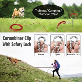 img 1 attached to Carabiner Durable Leashes Training Walking Dogs