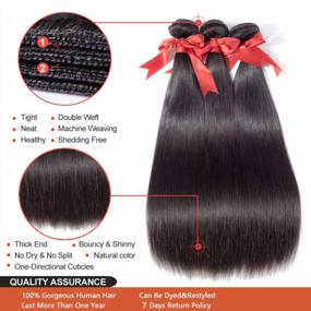 img 1 attached to 100% Unprocessed Brazilian Virgin Hair - Brazilian Straight Human Hair Bundle Deal With Closure In Middle Part - Natural Black Color - 3 Bundles (20", 22", 24") With 18" Closure