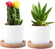 cute and stylish wituse ceramic round succulent plant pots with wooden saucers - set of 2 logo