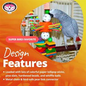 img 2 attached to 🐦 Super Bird Creations SB513 Willy Nilly Bird Toy: Medium/Large Size, 14" x 6.5" - Entertain Your Bird with Quality Playtime!