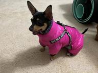 img 1 attached to Didog Winter Small Dog Coats: Waterproof, Warm & Harness Compatible For Puppy & Cat Walking Hiking - Red (Chest 13") review by Travis Petty